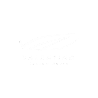 Valentino custom boats logo